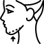 Çene Dolgusu