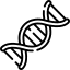 Somon Dna