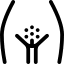 Kadın Genital Estetiği